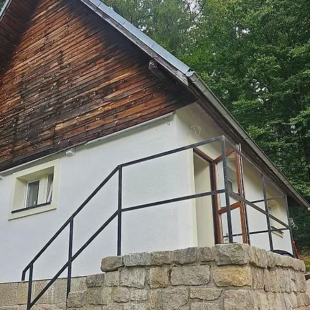 Nad Zalewem Przy Guzowatej *