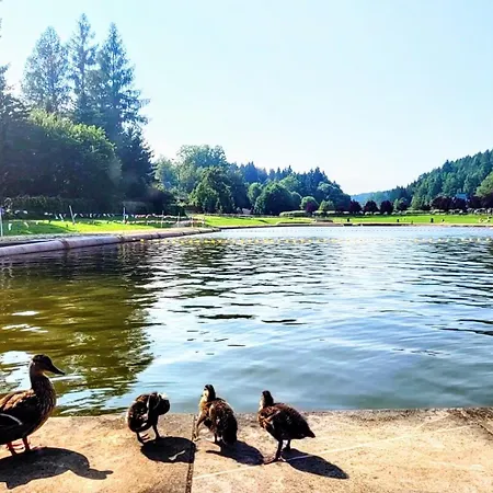 Nad Zalewem Przy Guzowatej 公寓