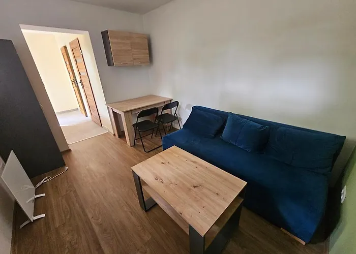 公寓 Nad Zalewem Przy Guzowatej 拉德库夫