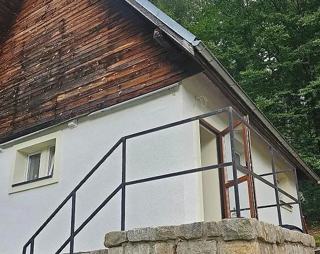 Nad Zalewem Przy Guzowatej *