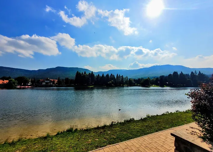 Nad Zalewem Przy Guzowatej *