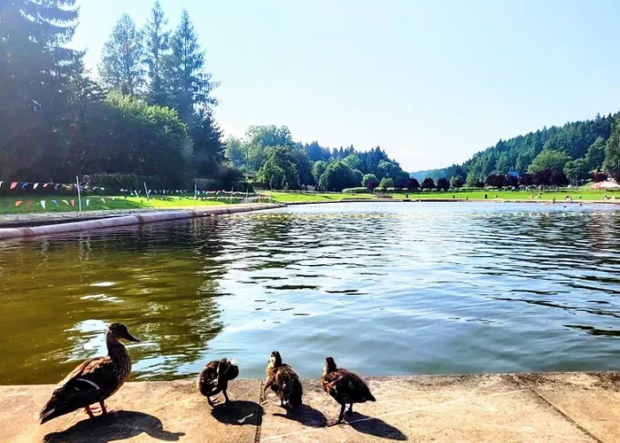 Nad Zalewem Przy Guzowatej 公寓