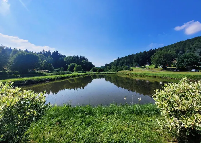 Nad Zalewem Przy Guzowatej *