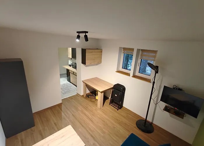 公寓 Nad Zalewem Przy Guzowatej 拉德库夫